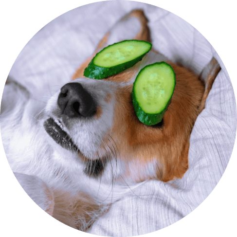 Mask Grюлдроиoup-min